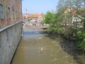 Bamberg_144