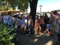 Mainz_110