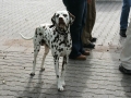 Jahrgang2006_0003