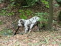 Jahrgang2006_0022