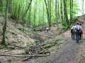 Jahrgang2006_0054