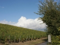 Jahrgangsausflug 2009_00024