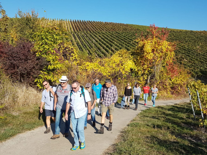 Zwibbelkuchewandertag_02_BoGauB_09