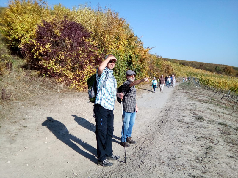 Zwibbelkuchewandertag_02_BoGauB_52