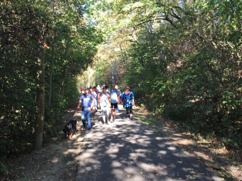Zwibbelkuchewandertag_04_GauBLoe_02