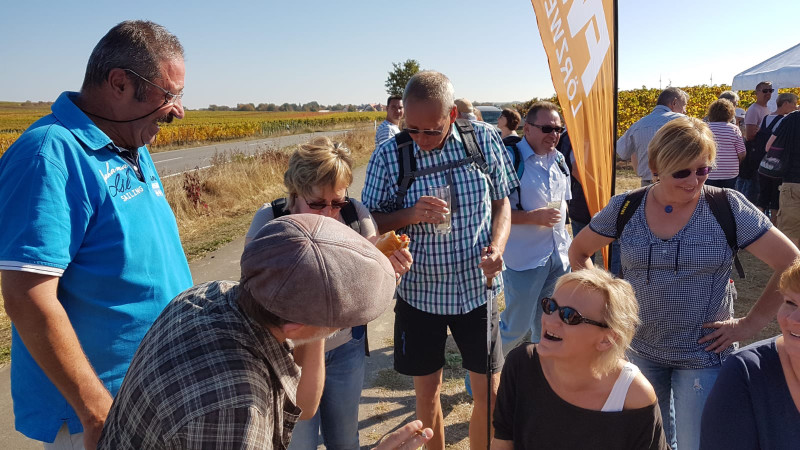 Zwibbelkuchewandertag_04_GauBLoe_40
