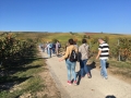 Zwibbelkuchewandertag_02_BoGauB_02